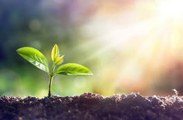 istock 658291850